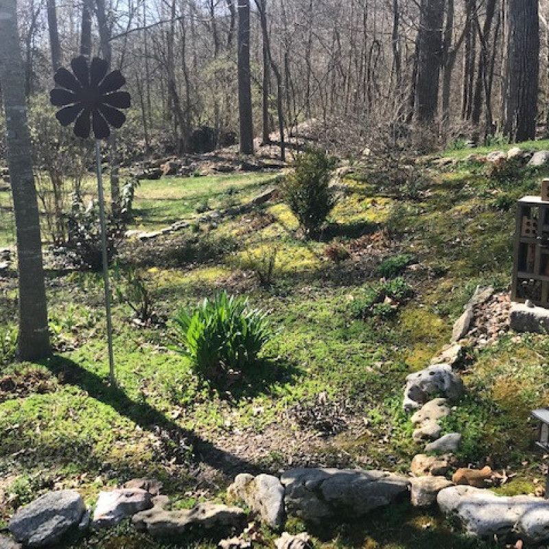 Mystic Valley Estates